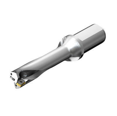 [7548796] Coromant DS20-D1600L20-04 