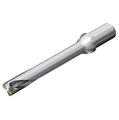 [7548991] Coromant DS20-D4500L50-07 